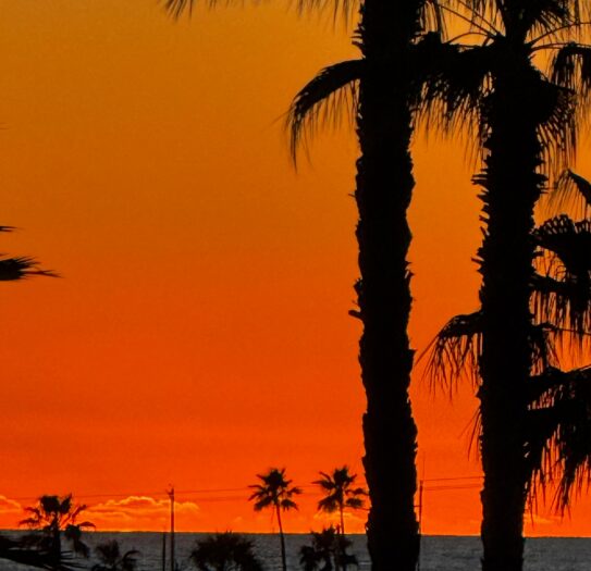 TWG_Palm Springs (2)