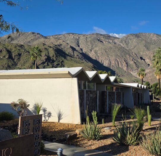 TWG_Palm Springs (2)