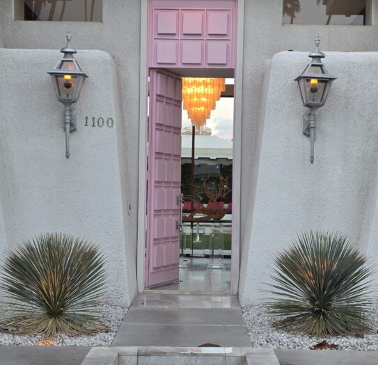 TWG_Palm Springs (8)