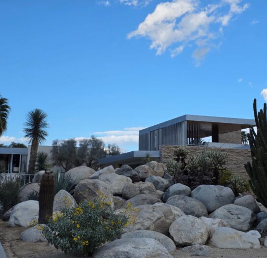 TWG_Palm Springs (9)
